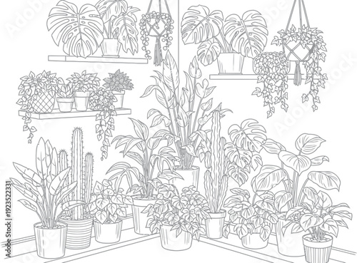 Indoor Plants on Shelves and Floor