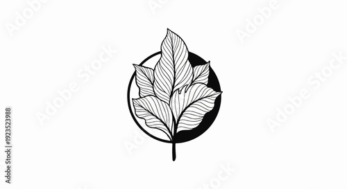 A black and white drawing of a circular emblem with leaves