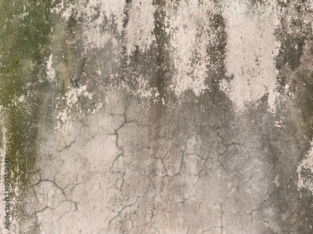 Fototapeta premium Grunge Texture of Old Weathered Concrete Wall with Moss and Scratches