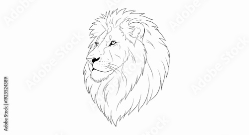 A detailed black and white line drawing of a majestic lion's head and mane