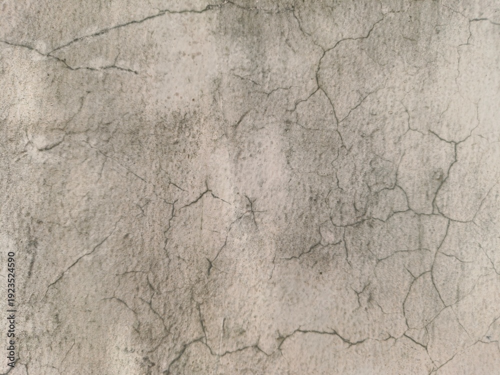 Obraz premium Full Frame Texture of Cracked Concrete Wall with Green Moss and Weathered Surface