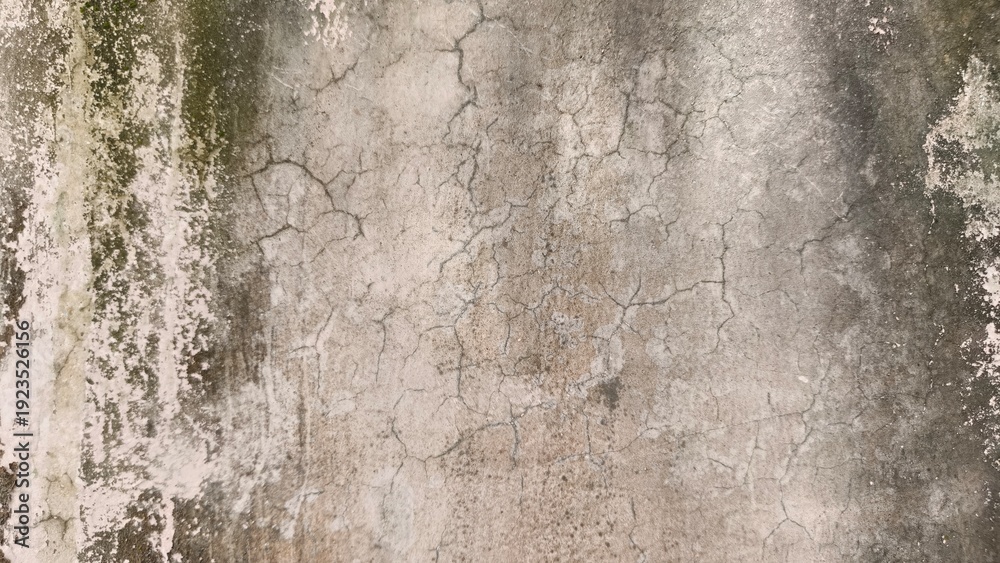 Obraz premium Grunge Texture of Old Weathered Concrete Wall with Moss and Scratches