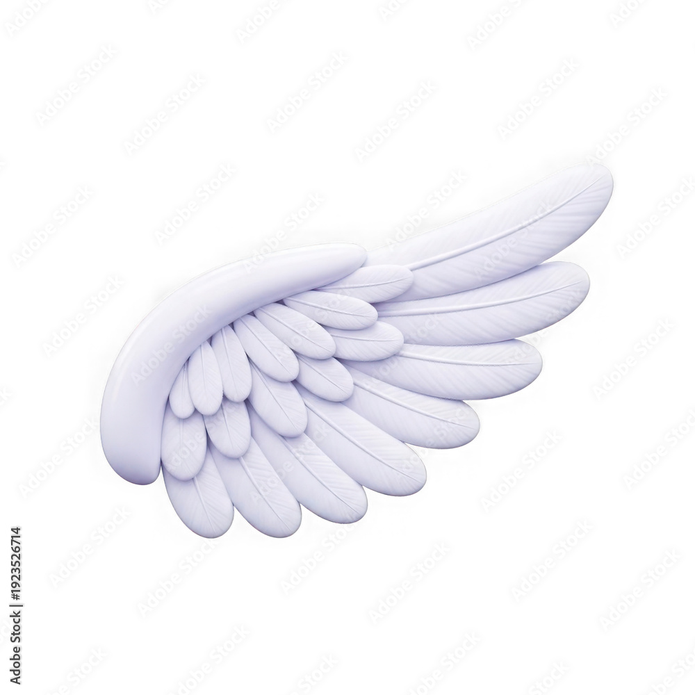 Fototapeta premium A white wing with feathers on a white background