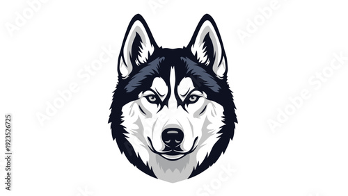 Symmetrical and detailed head of a Siberian Husky with blue eyes and striking black and white fur patterns on a white background.
