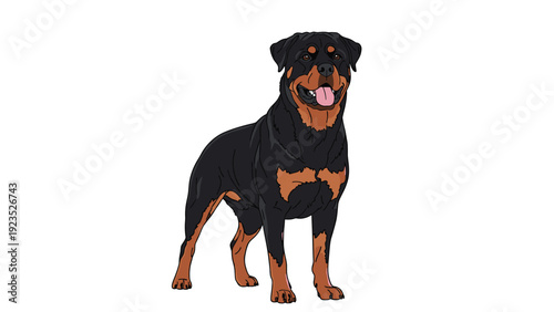 Realistic illustration of a muscular black and tan Rottweiler dog standing and looking forward with its tongue out on a white background.