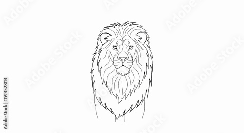 A sketch of a lion's face and mane is drawn in black outline