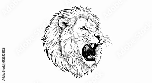 A black and white illustration of a roaring lion's head with detailed mane and sharp teeth