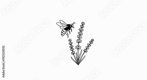 A black and white line drawing of a bee hovering near lavender flowers