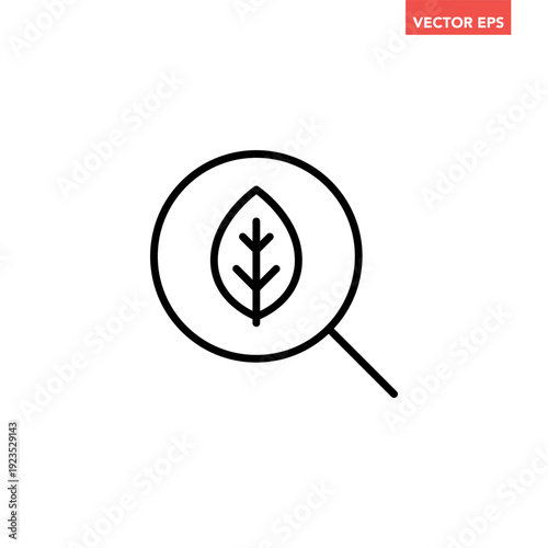 Black single search plant line icon, simple biotechnology research flat design vector pictogram, infographic interface elements for app logo web button ui ux isolated on white background