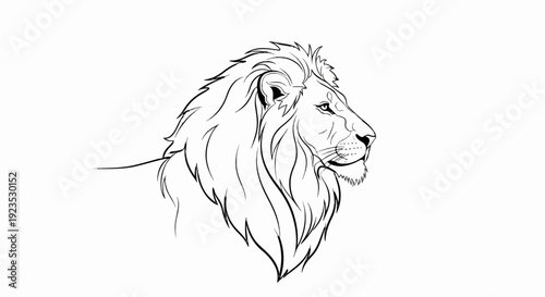 A detailed line drawing of a lion's head and mane