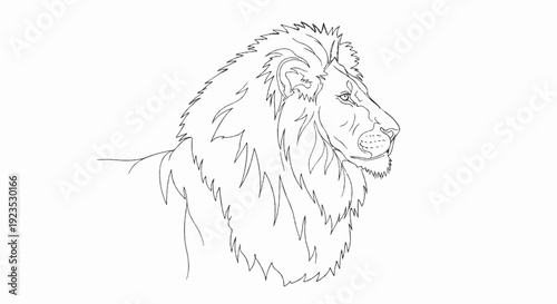 A detailed line drawing of a lion's head and mane, facing right