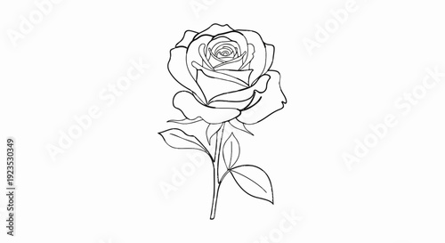 A hand-drawn black and white sketch of a single rose with leaves