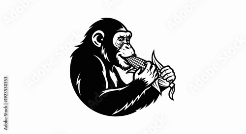 A chimpanzee in black and white is depicted eating a cob of corn