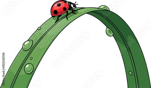 Ladybug on Grass Isolated on Transparent Background Flat 2D Vector
