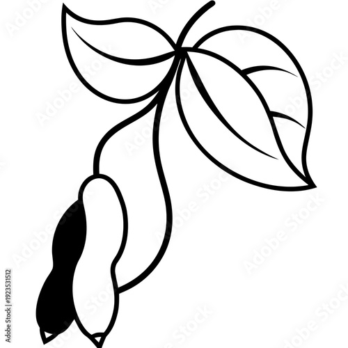 Minimalist white soybean pod and leaves on black background, illustration