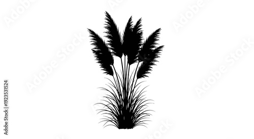 Black Silhouette of Palm Tree Leaves.