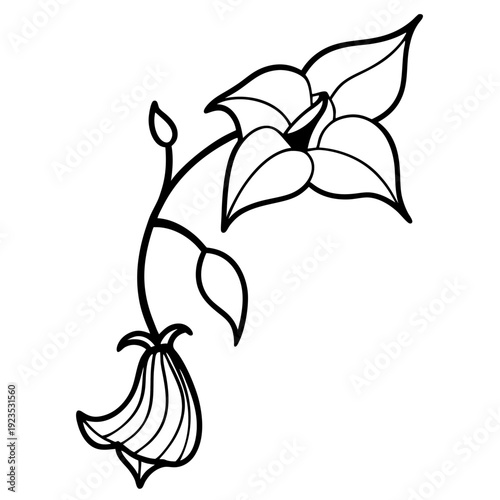 Abstract White Flower Head and Bud on Black, Minimalist Vector Art with Falling Petals