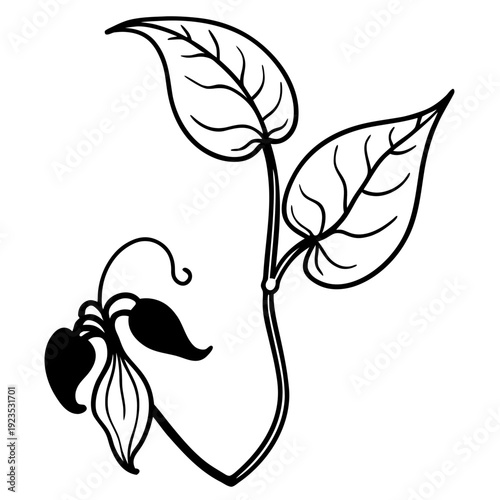 Delicate white line art of plant stem with leaves and a small seed pod