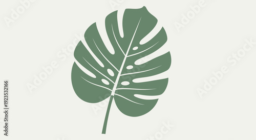 Monstera Leaf Illustration Green Foliage.