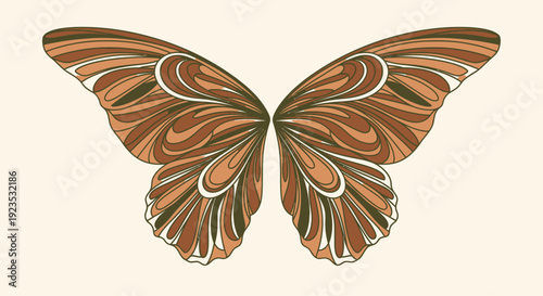 Colorful Butterfly with Intricate Wing Patterns.