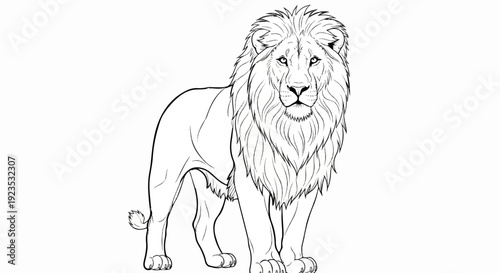 A detailed line drawing of a majestic male lion with a full mane