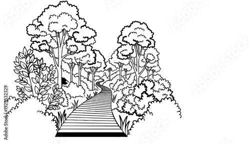 A winding wooden path through a dense, lush forest with abundant foliage