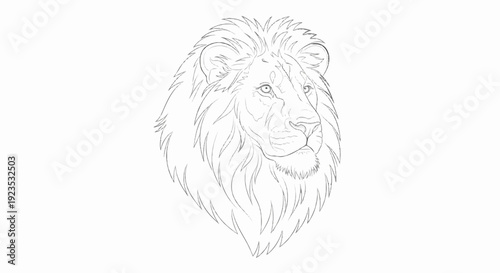 A regal lion's head is depicted in a detailed line drawing with flowing mane