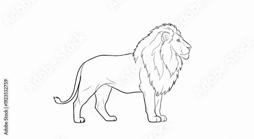 A detailed outline drawing of a majestic lion standing proudly