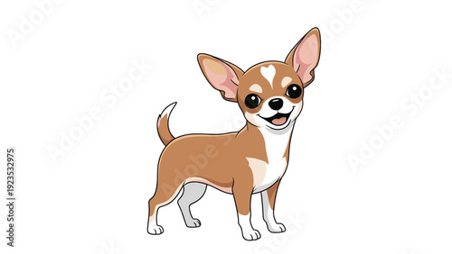 Tiny and adorable chihuahua dog with tan and white fur standing and looking forward with its large ears up on a white background.