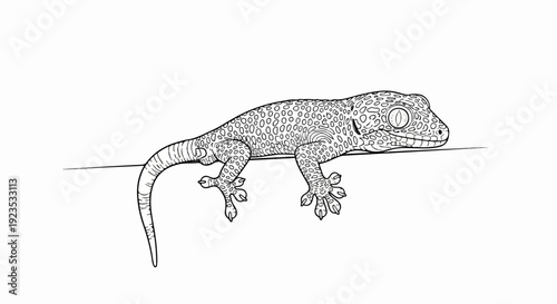A detailed, realistic black and white sketch of a gecko with textured skin