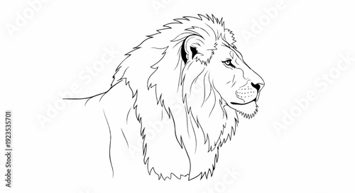 A line drawing of a lion's head and mane in profile