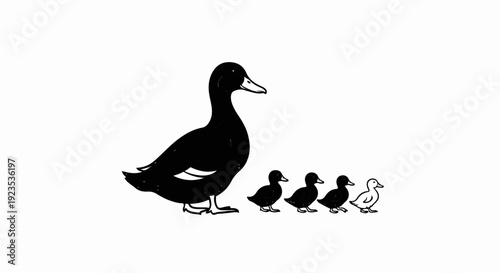 A mother duck and her ducklings walk in a line