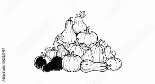A variety of pumpkins and gourds are arranged in a pile