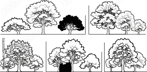 A variety of deciduous trees in different sizes and arrangements
