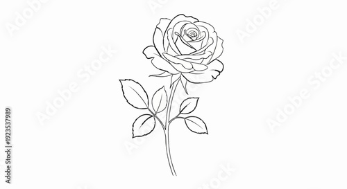 A simple black and white sketch of a rose with leaves on a white background