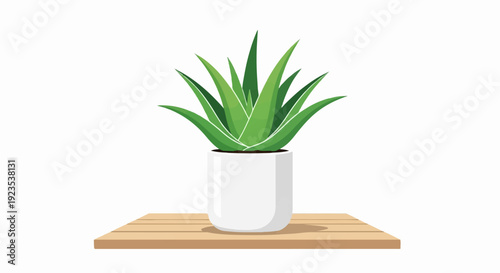 A vibrant green aloe vera plant in a white pot sits on a wooden shelf