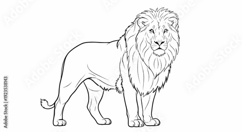 A majestic lion stands on a white background with a full mane