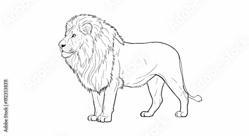 A majestic male lion with a full mane stands in profile, rendered as a simple line drawing