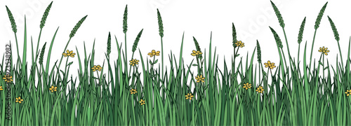 Wild Grass and Flowers Isolated on Transparent Background Flat 2D Vector