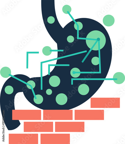 Illustration depicting gut microbiome health data visualized within a stomach, highlighting the gut barrier. Modern, clean design with teal and gray tones. Suitable for health and wellness content.