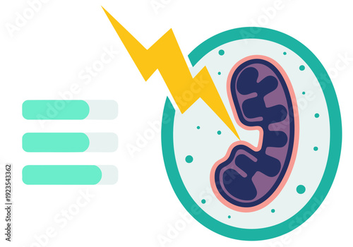 A vibrant illustration highlights mitochondrial health and energy production within a cell. A lightning bolt symbolizes energy, emphasizing cellular vitality. Clean, modern design.