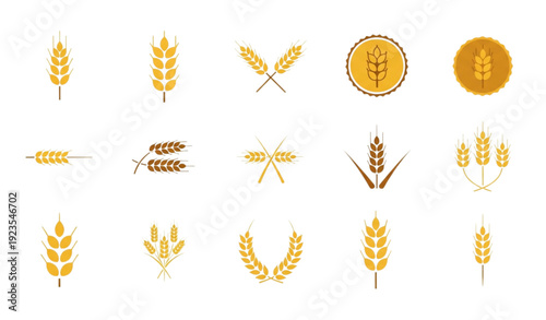 Wheat ears and grain spike icon collection in flat design isolated on transparent background