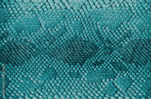 Exotic Teal Snake Skin Texture - Abstract Reptile Scale Pattern