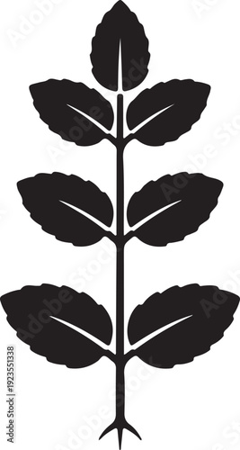 Mint icon herb in silhouette on white background.