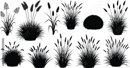 Collection of black and white ornamental grass silhouettes showcasing various clumping forms and feathery seed heads for landscaping design projects