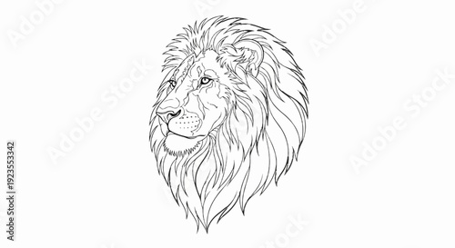 A bold sketch of a majestic lion's head with a flowing mane