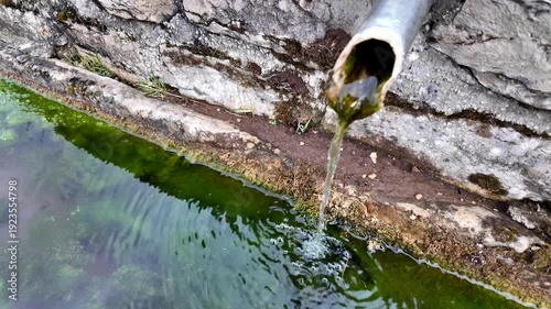 Natural mountain water flows from an old metal pipe into a stone basin covered with green moss and underwater algae.