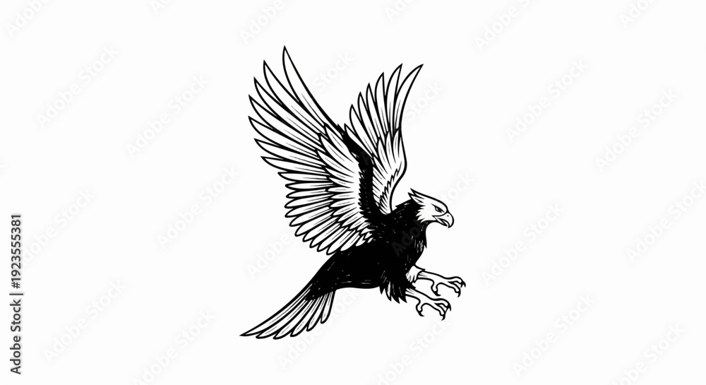 Obraz premium A black and white sketch of a bald eagle in flight, wings spread