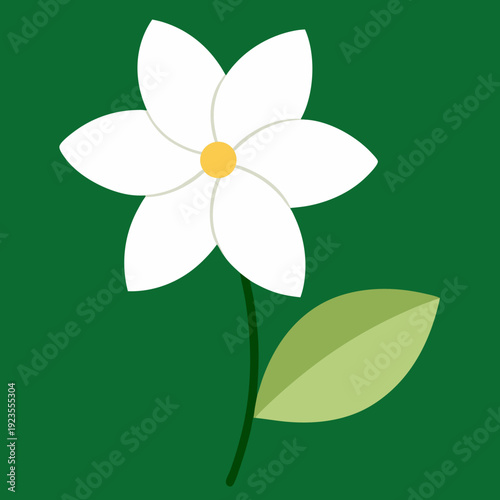 Simple white five-petal flower on a stem with a light green leaf on a green background.