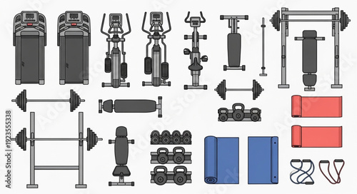 Comprehensive collection of gym equipment, showcasing various fitness machines and workout tools.